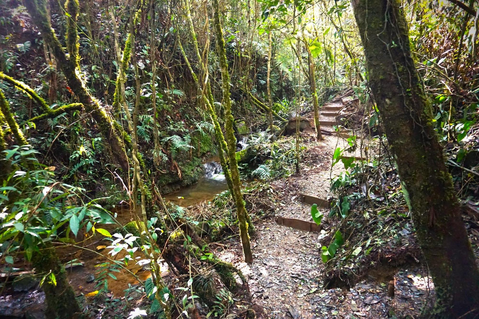 ENCANTO Minicasitas en medio de la naturaleza Santa Elena  Exterior foto