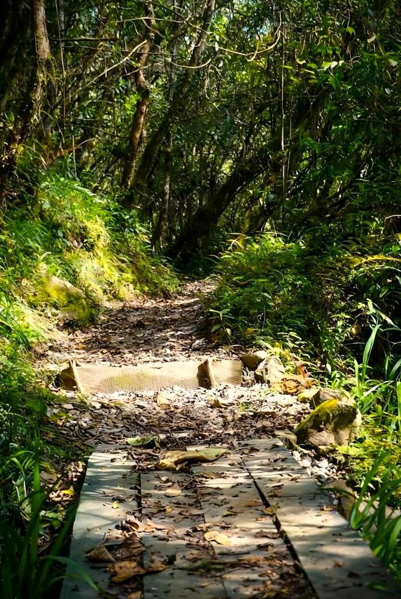 ENCANTO Minicasitas en medio de la naturaleza Santa Elena  Exterior foto