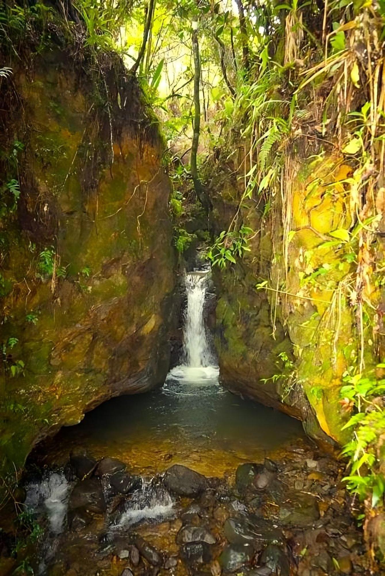 ENCANTO Minicasitas en medio de la naturaleza Santa Elena  Exterior foto